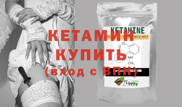 дживик Чита