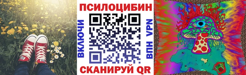 Псилоцибиновые грибы Magic Shrooms  Тула 