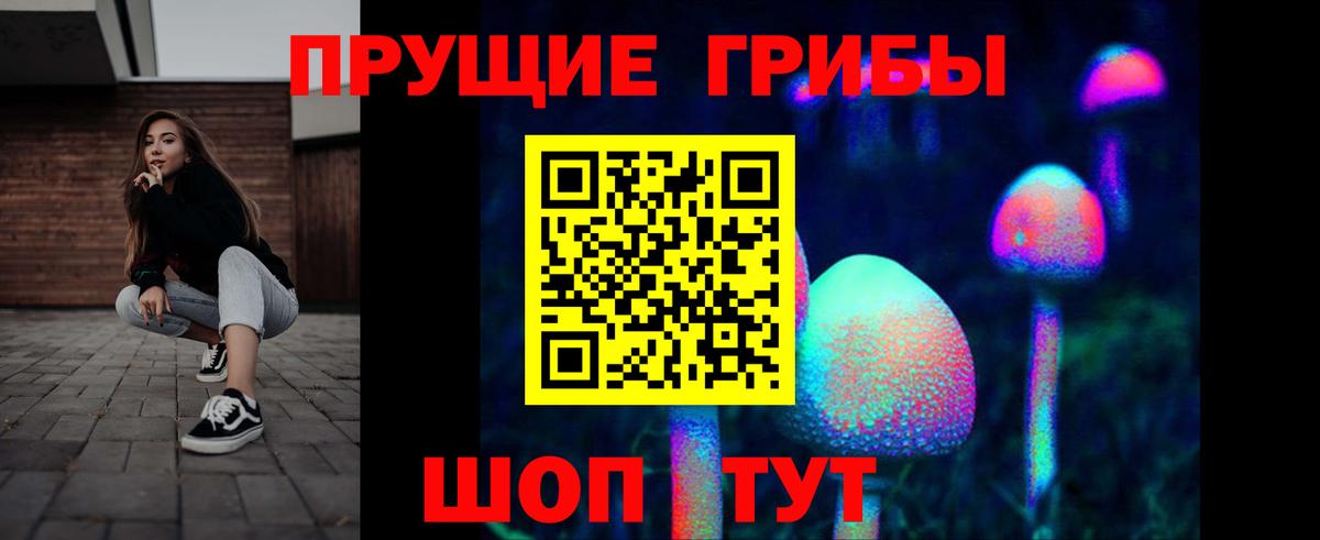 Псилоцибиновые грибы GOLDEN TEACHER  продажа наркотиков  Тула  Вход с VPN 